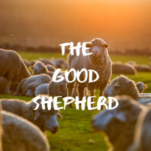 The-Good-Shepherd