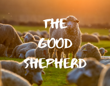 The Good Shepherd